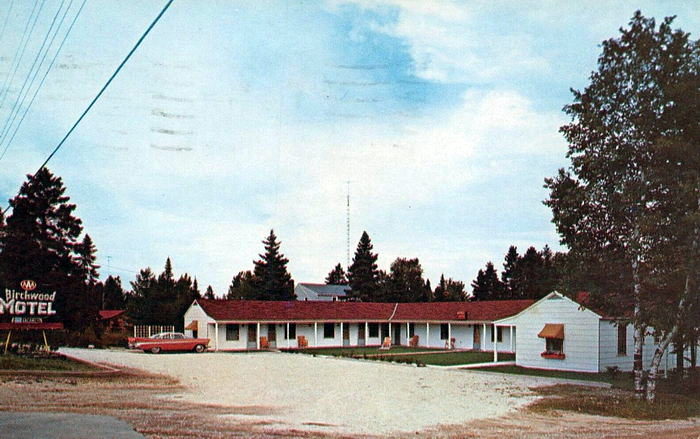 Birchwood Motel - Vintage Postcard